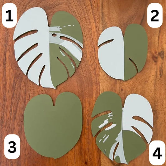 Funny Monstera Albo Coaster Plant