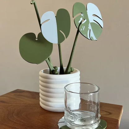 Funny Monstera Albo Coaster Plant